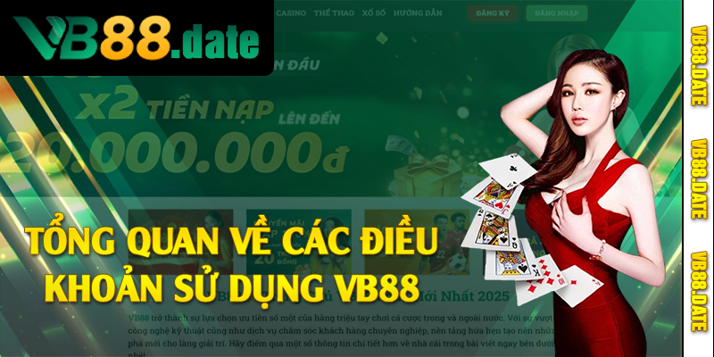Tổng quan về các điều khoản sử dụng VB88 